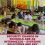 SECURITY GUARDS IN SCHOOLS ARE AS INTERMEZZO – SYSTEMIC SOLUTIONS ARE KEY