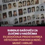 Suđenje Gašoviću za zločine u Hadžićima - svjedočenje predstavnika oštećenih porodica Nizić, Musić i Hrnjić Visual